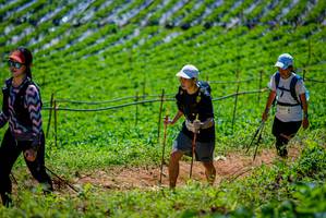 BIB: 1417
                            <button type="button" onclick="openModal(19164670)" class="btn btn-primary btn-sm float-right btn-popup" data-toggle="modal" data-target=".modal-high-quality">
                        <i class="fas fa-shopping-cart"></i> Add to Cart
                    </button>
                                            <button type="button" onclick="isThisMe(19164670, true)" class="btn btn-success btn-sm float-right btn-popup btn-isme hidden" data-toggle="tooltip" data-placement="bottom" title="นี่คือรูปของคุณใช่ไหม คลิกที่นี่เพื่อเอาเข้าอัลบั้ม">
                        <i class="fas fa-plus"></i> Add to album
                    </button>
                    <button type="button" onclick="isThisMe(19164670, false)" class="btn btn-warning btn-sm float-right btn-popup btn-isnotme hidden">
                        <i class="fas fa-ban"></i> Remove from album
                    </button>